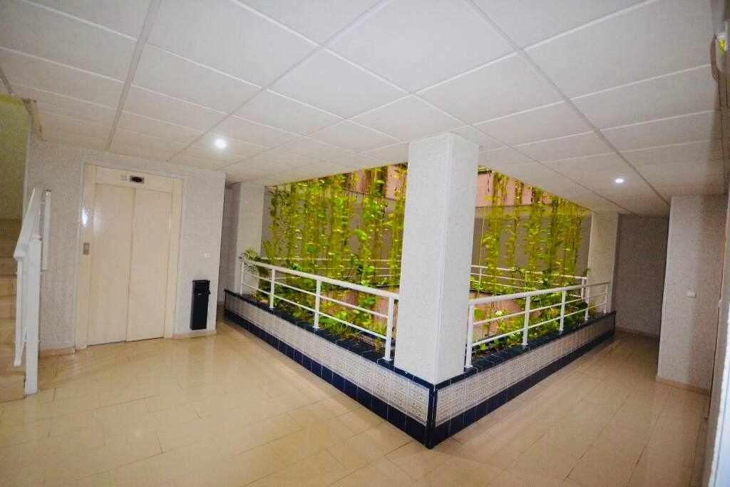 Apartamento Pink Sweet Home Torrevieja Luaran gambar